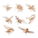 Insect Animal 3D Wooden Puzzle_1