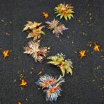 Thousand Cranes Series 3D Metal Puzzle_2