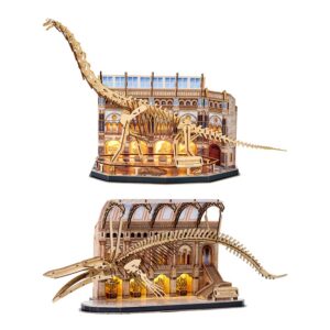 Natural Museum 3D Puzzle_1