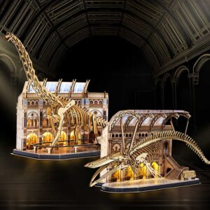 Natural Museum 3D Puzzle_2