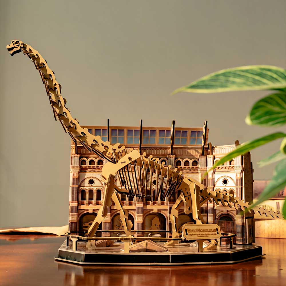 Natural Museum 3D Puzzle With Lights